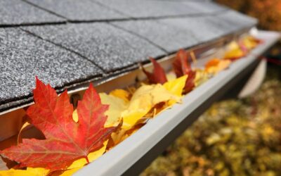 Life-Saving Tips for Gutter Cleaning in Vancouver
