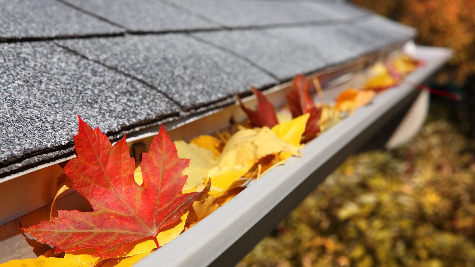 Fascia Soffit Installation