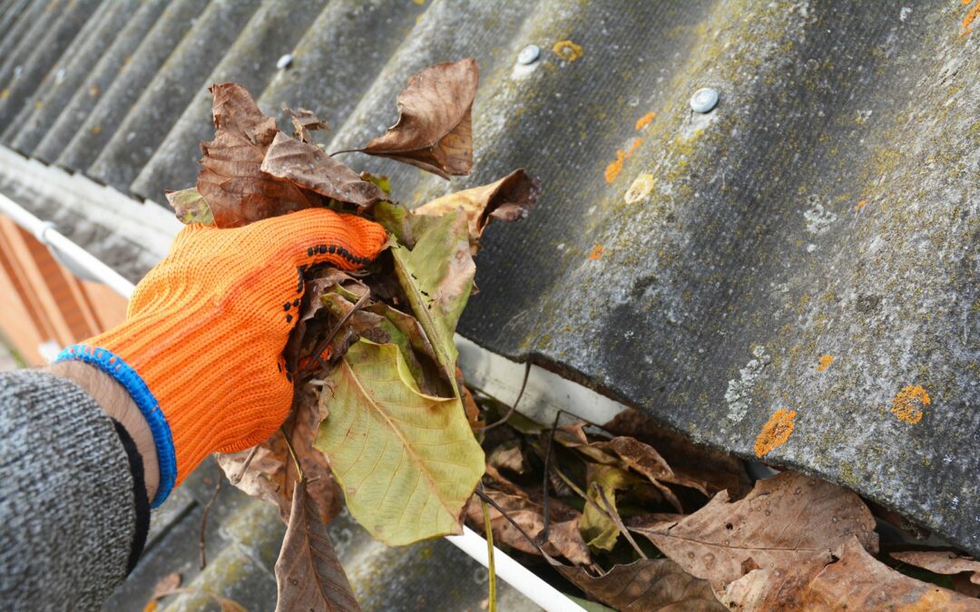 Gutter Cleaning Service Cost – Answered by Experts!