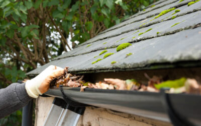 North Vancouver Gutter Cleaning: Cleaning Tips for Residents