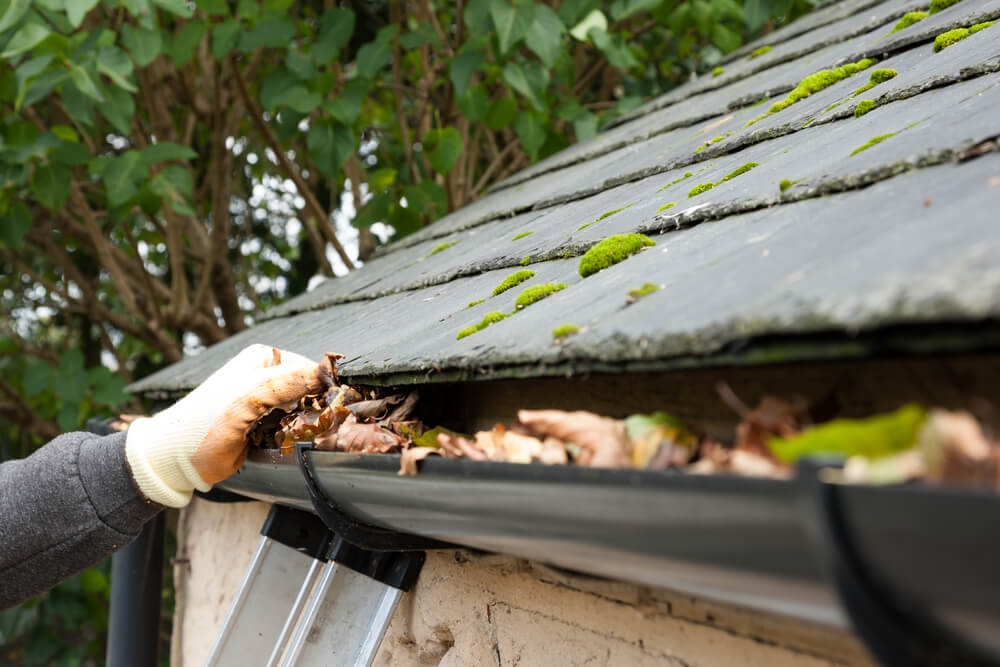 Eavestrough Cleaning Hamilton