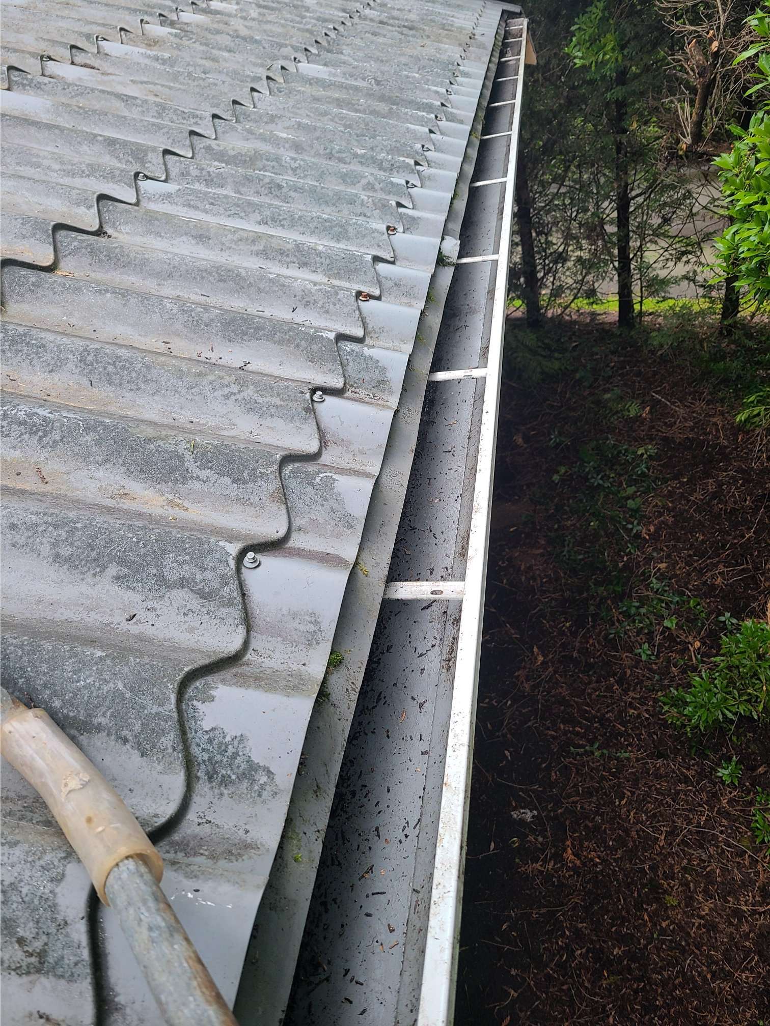 After - Roof Cleaning Service in Vancouver