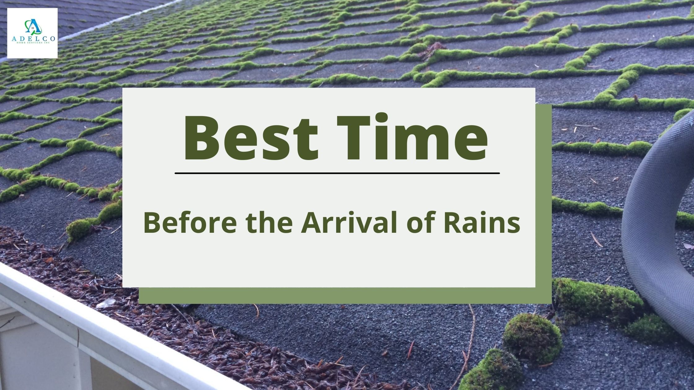 Best Time for Roof Moss Removal