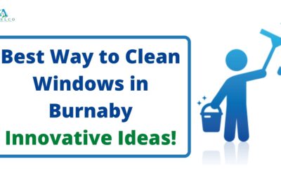 Learn the Best Way to Clean Windows in Burnaby, BC