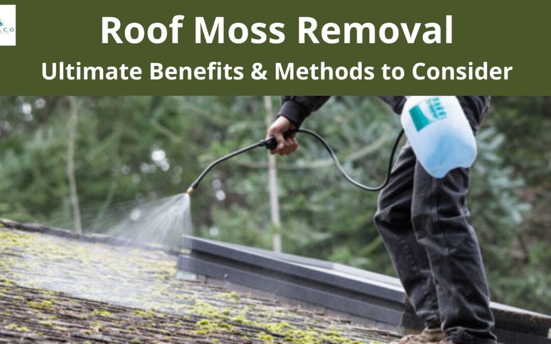 Roof Moss Removal – Ultimate Benefits & Methods to Consider