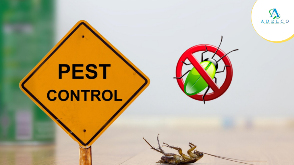 Keep Away Pest Problem