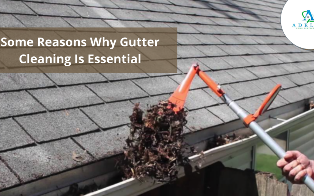 Some Reasons Why Gutter Cleaning is Essential?