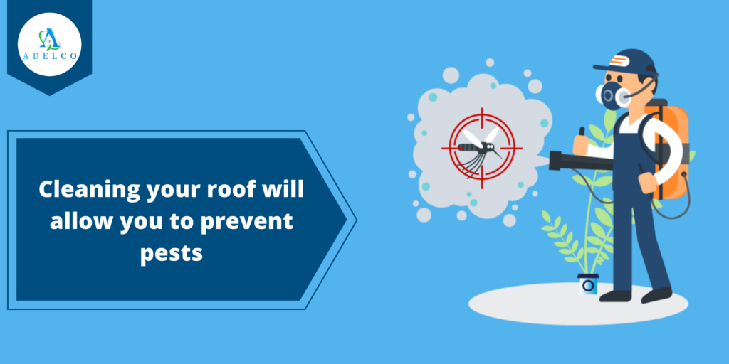 Cleaning your roof will allow you to prevent pests