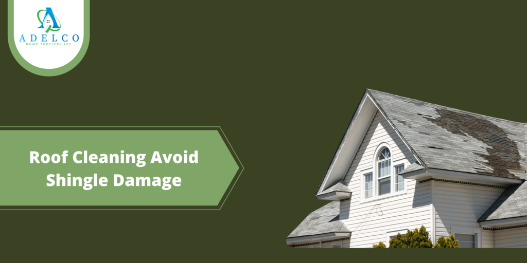 Roof Cleaning Avoid Shingle Damage