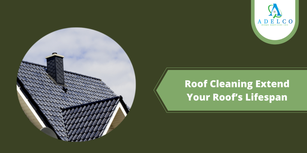 Roof Cleaning Extend Your Roof’s Lifespan