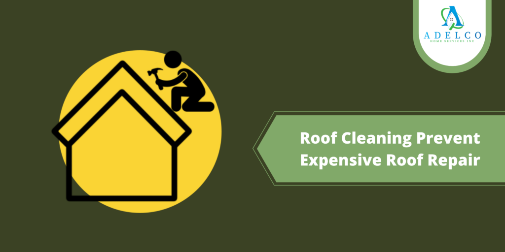 Roof Cleaning Prevent Expensive Roof Repair