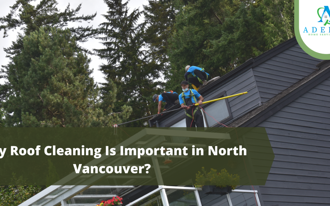 Why Roof Cleaning is Important in North Vancouver?