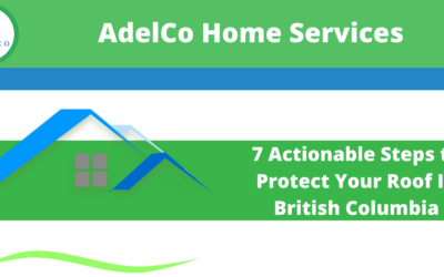 7 Actionable Steps to Protect Your Roof In British Columbia