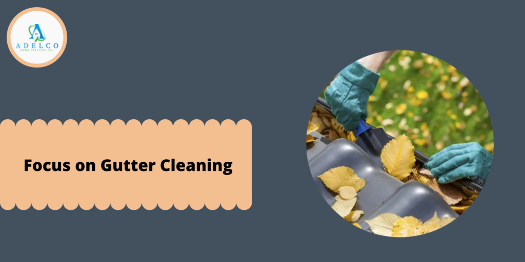 Focus on Gutter Cleaning