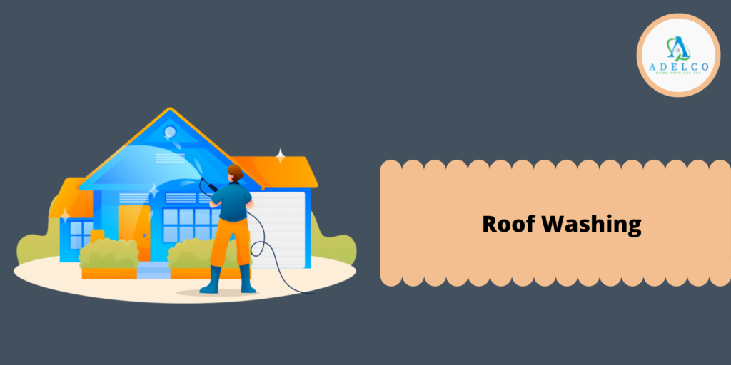 Importance to Roof Washing