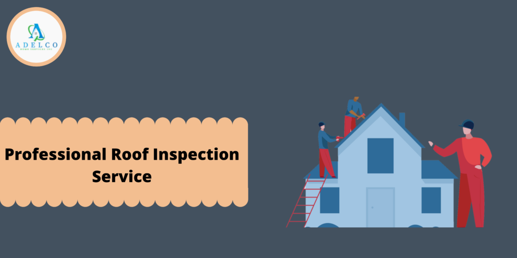 Professional Roof Inspection Service