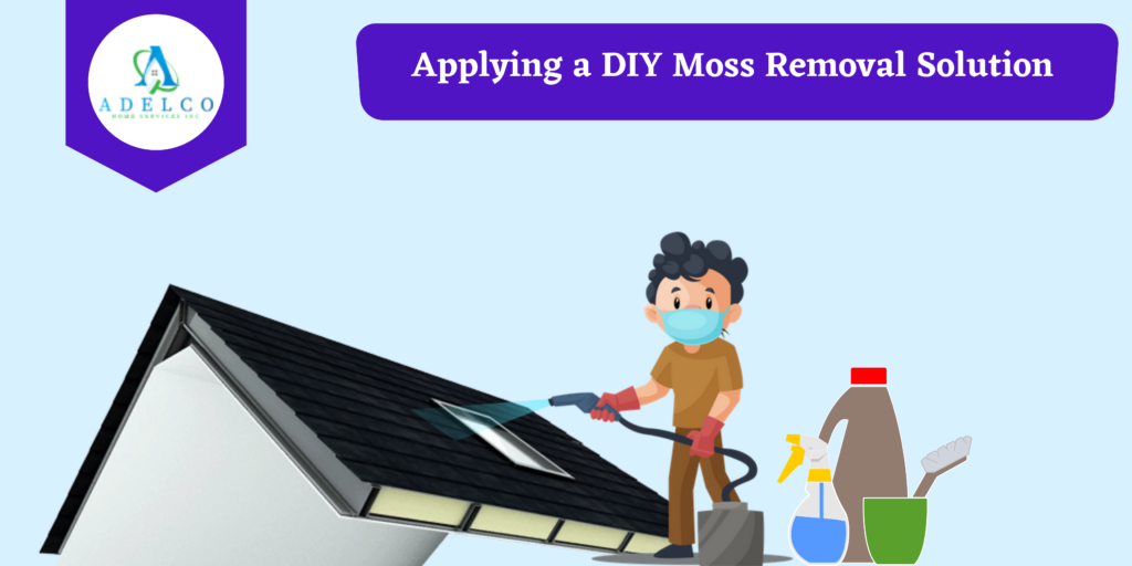 Applying a DIY Moss Removal Solution