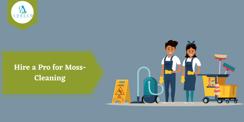 Hire a Pro for Moss-Cleaning