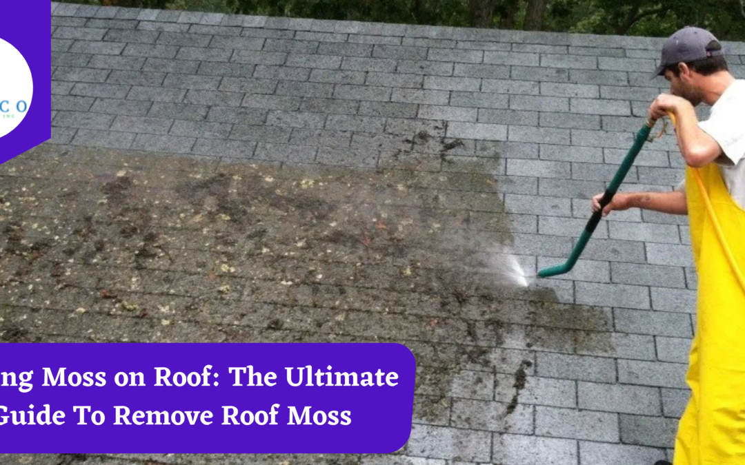 Killing Moss on Roof: The Ultimate Guide To Remove Roof Moss