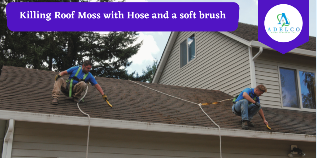 Killing Roof Moss with Hose and a soft brush