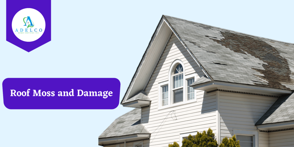 Understanding Roof Moss and Damage