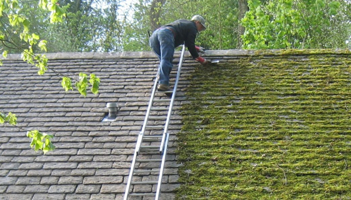 Roof Moss Removal AdelCo