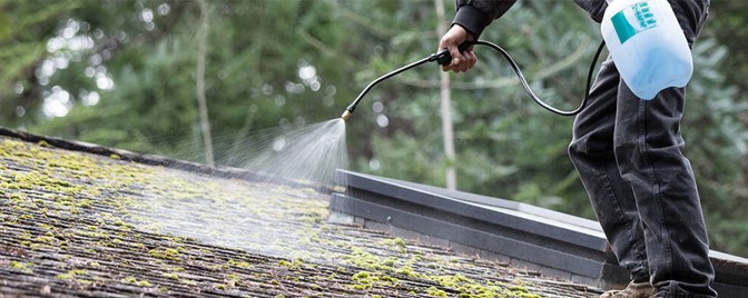 Roof Moss Removal