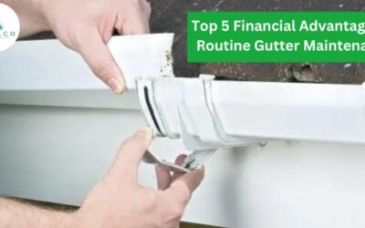 Maximizing Wealth: Top 5 Financial Advantages of Routine Gutter Maintenance