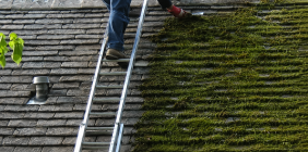 Roof Moss Removal By AdelCo